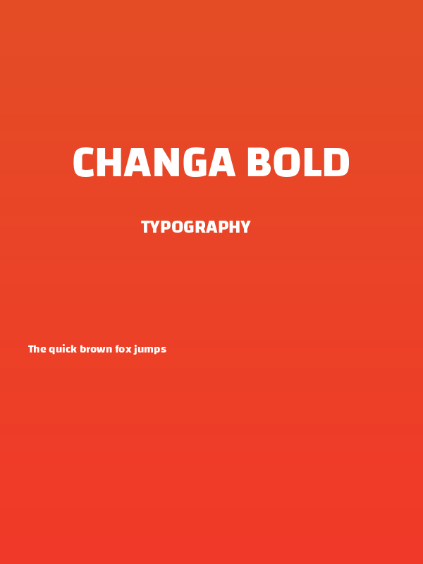 Changa Bold Poster