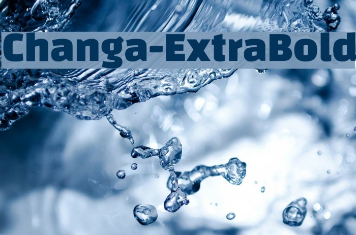 Changa-ExtraBold Font examples