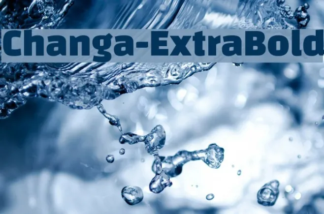 Changa-ExtraBold Example 1