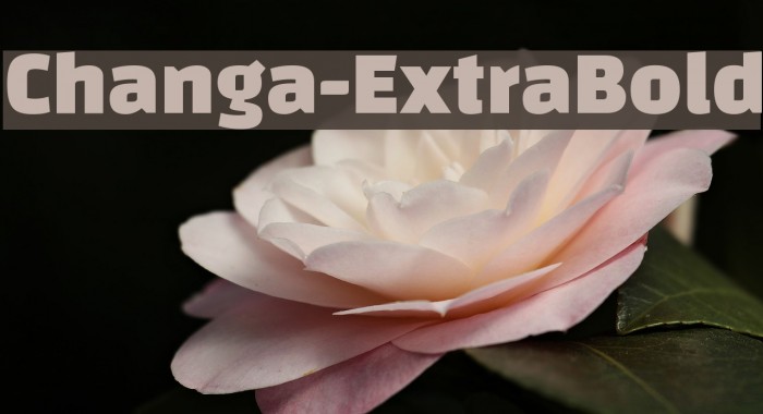 Changa-ExtraBold Font examples