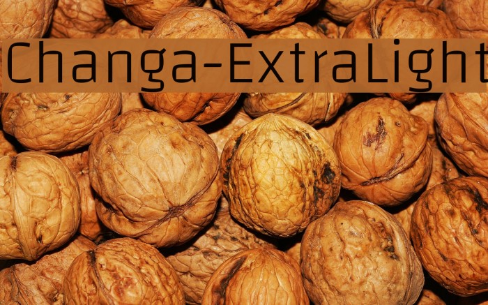 Changa-ExtraLight Font examples