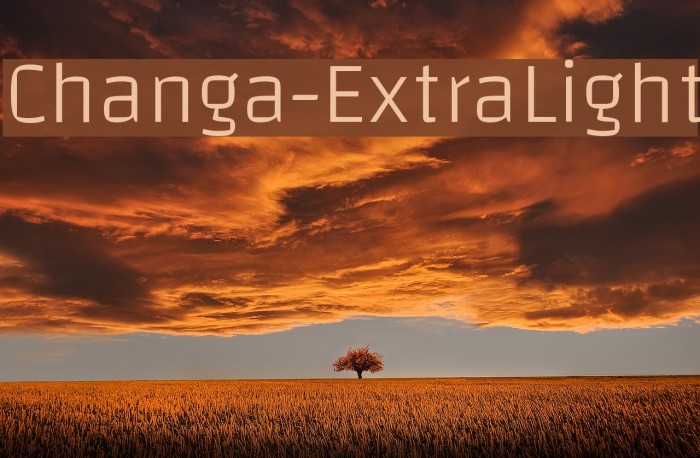 Changa-ExtraLight Font examples