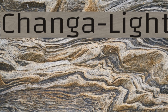 Changa-Light Example 2