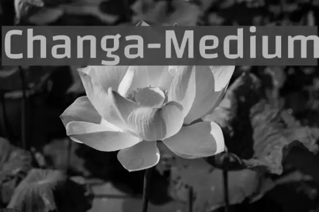 Changa-Medium Font examples