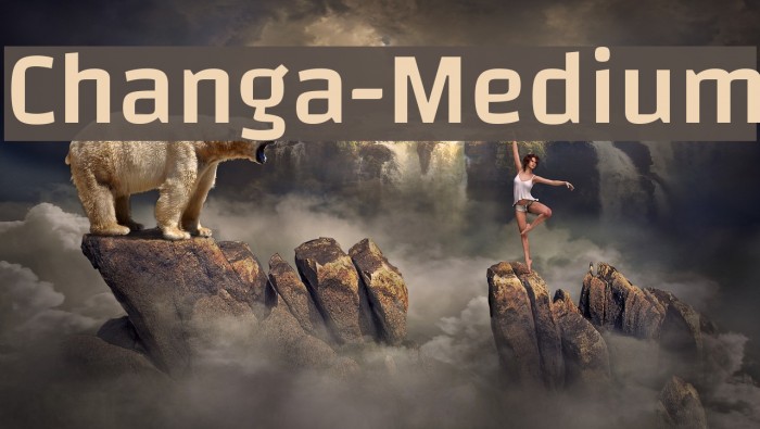 Changa-Medium Font examples