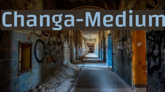 Changa-Medium Font examples