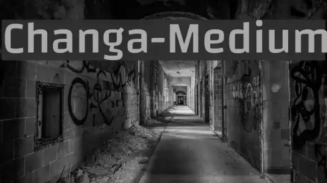 Changa-Medium Font examples