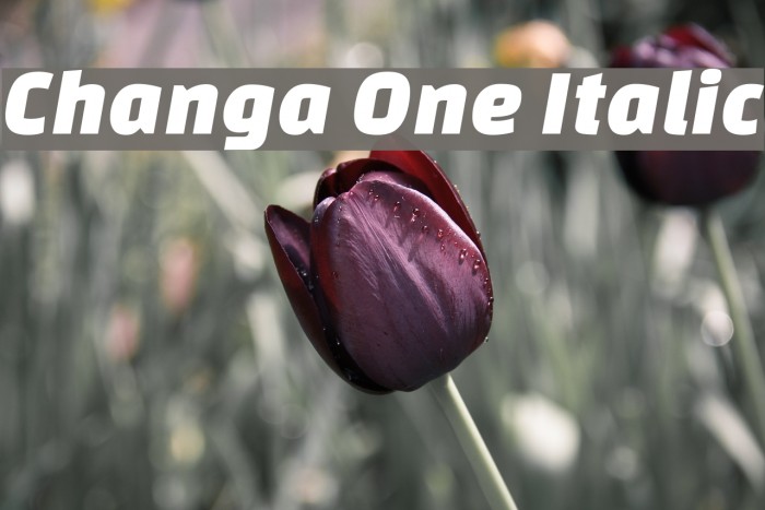 Changa One Italic Font examples