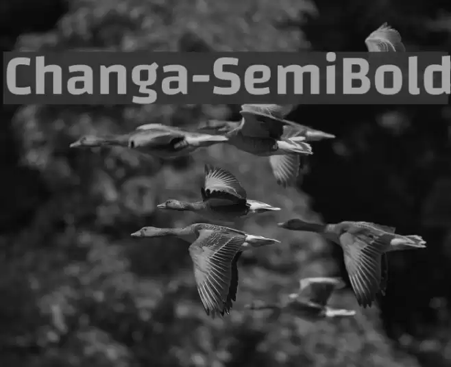 Changa-SemiBold Font examples