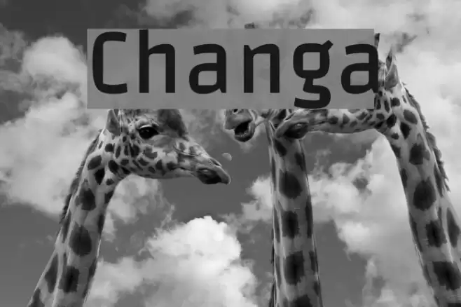 Changa Font examples