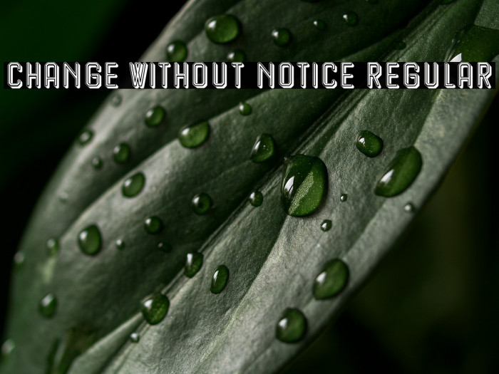 Change Without Notice Regular Example 2