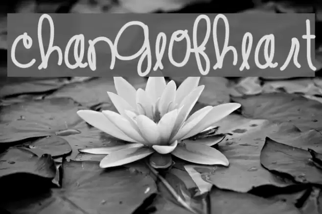 ChangeOfHeart Font examples
