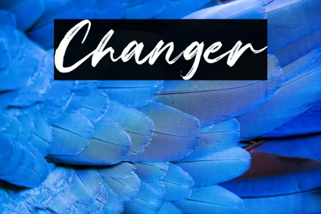 Changer Example 1