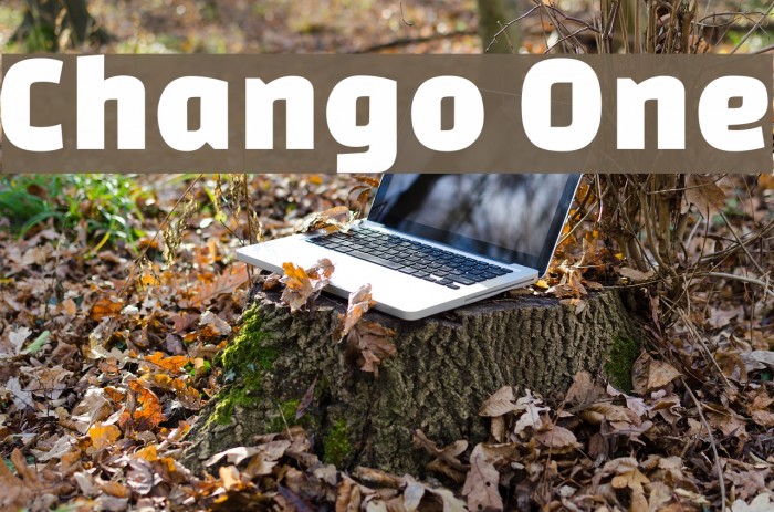 Chango One Font examples
