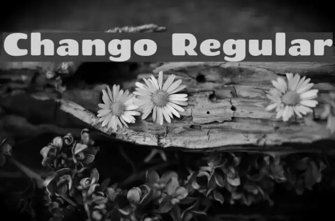 Chango Regular Font examples