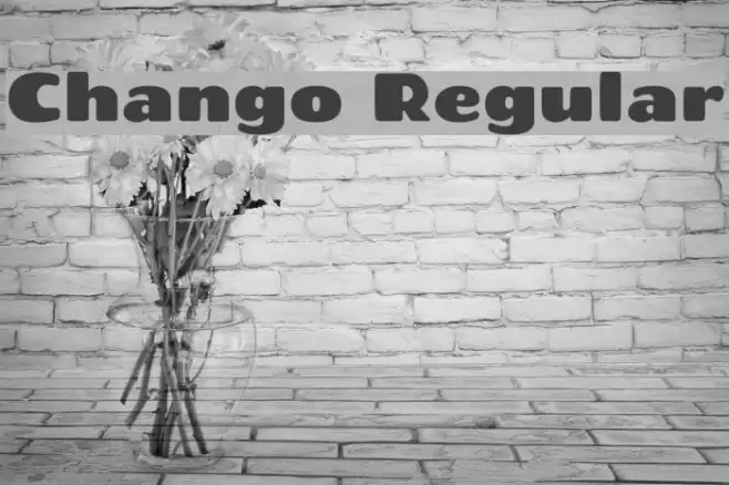 Chango Regular Font examples