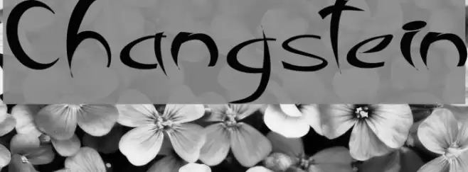 Changstein Font examples
