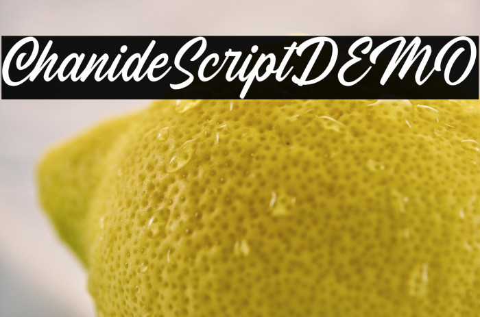 ChanideScriptDEMO Example 1