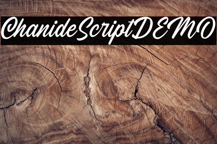 ChanideScriptDEMO Example 3