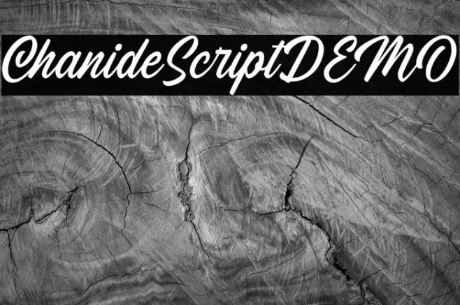 ChanideScriptDEMO Font examples