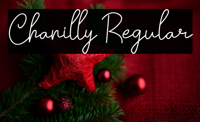 Chanilly Regular Example 1