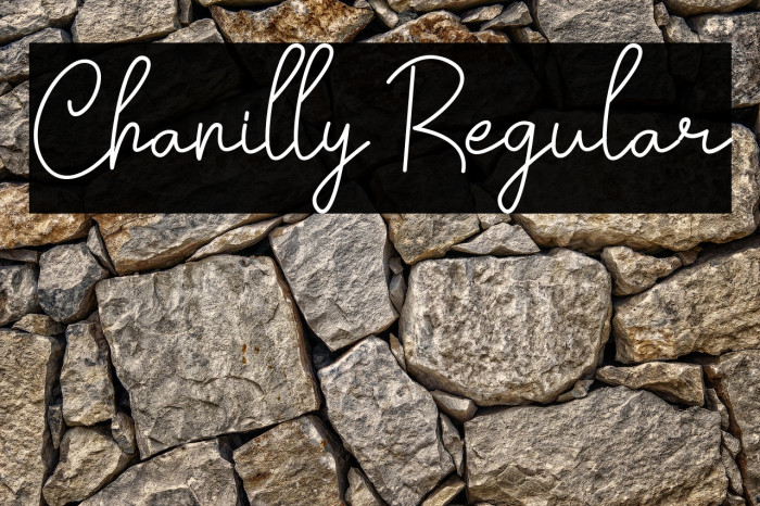 Chanilly Regular Example 2