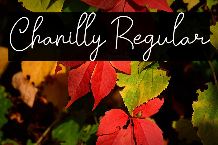 Chanilly Regular Example 3