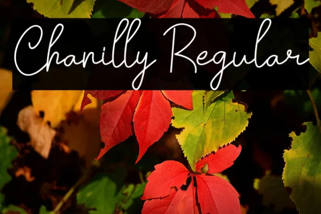 Chanilly Regular Example 3