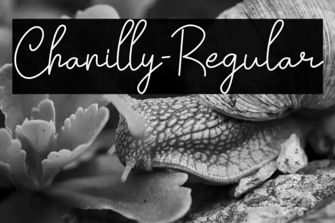 Chanilly-Regular Font examples