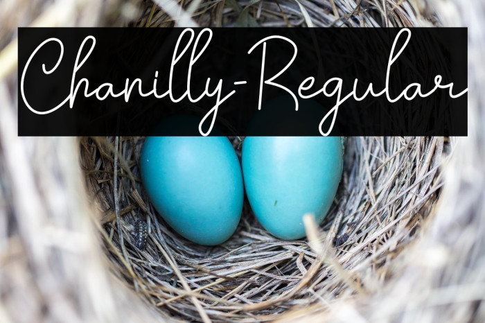 Chanilly-Regular Example 2