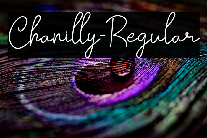 Chanilly-Regular Example 3