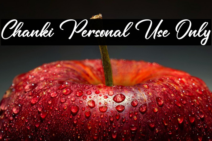 Chanki Personal Use Only Example 1