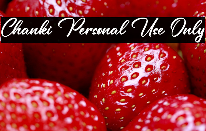 Chanki Personal Use Only Example 2