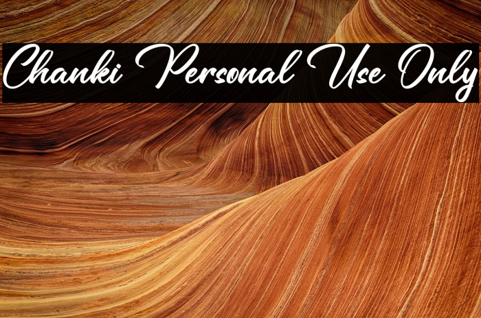 Chanki Personal Use Only Example 3