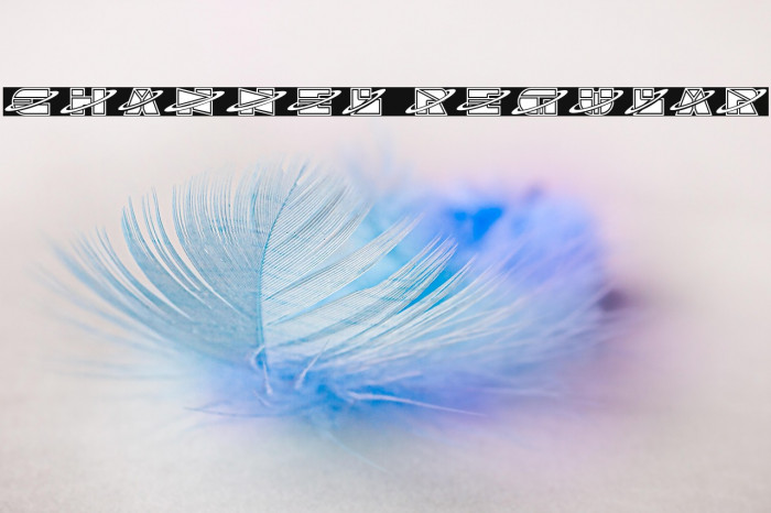 Channel Regular Example 1