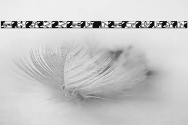 Channel Regular Font examples