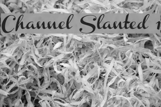 Channel Slanted 1 フォント examples
