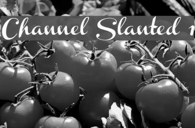 Channel Slanted 1 フォント examples