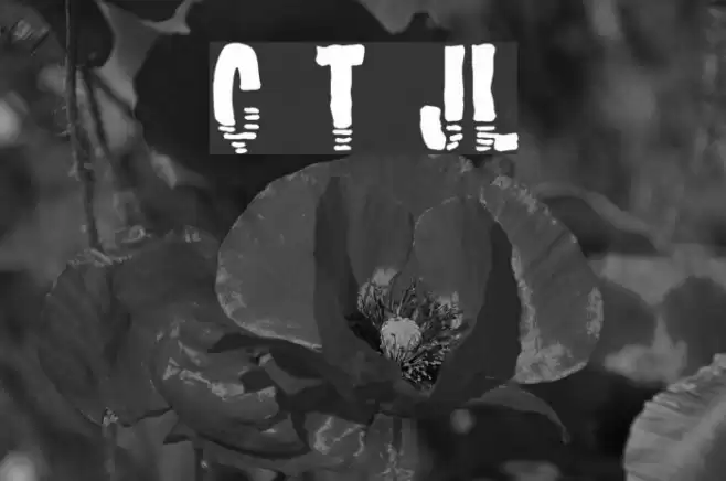 Channel Tuning JL Font examples