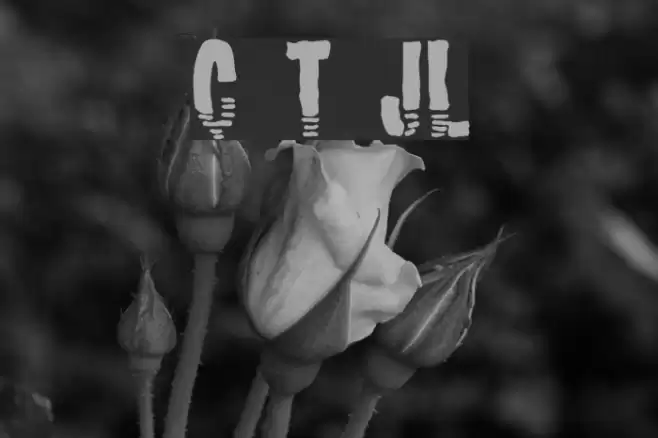 Channel Tuning JL Font examples