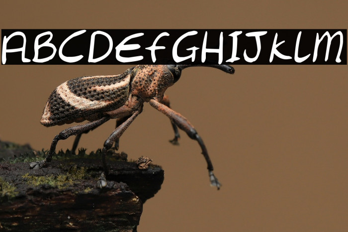 Chantell Hand Example 2