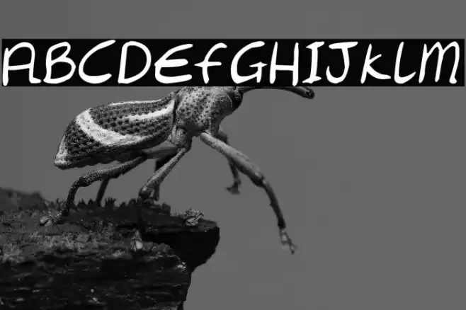 Chantell Hand Font examples