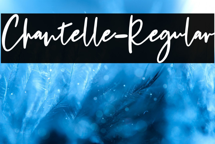 Chantelle-Regular Example 1