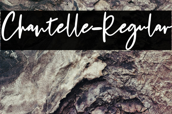 Chantelle-Regular Example 2