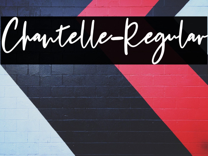 Chantelle-Regular Example 3