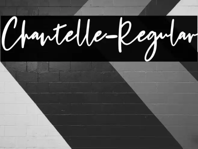 Chantelle-Regular Fuentes examples