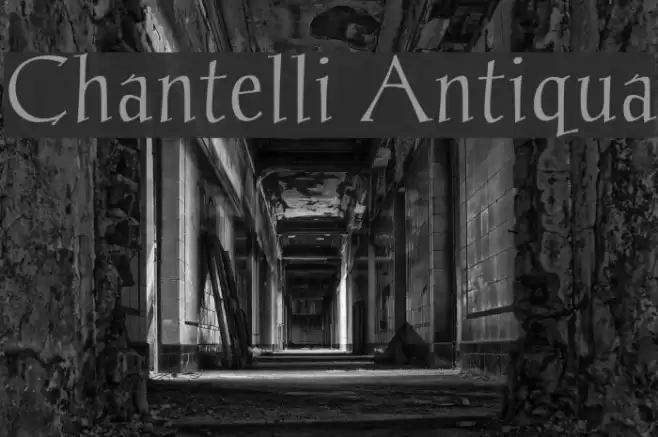 Chantelli Antiqua Font examples