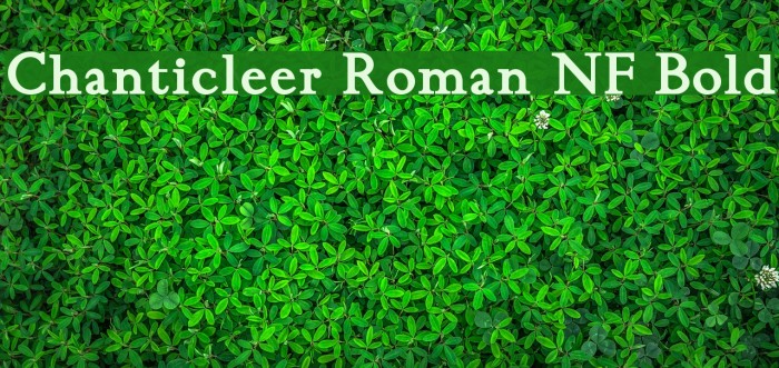 Chanticleer Roman NF Bold Font examples