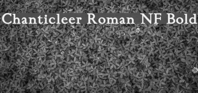 Chanticleer Roman NF Bold Font examples