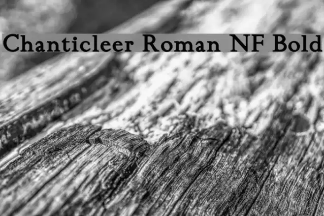 Chanticleer Roman NF Bold Font examples